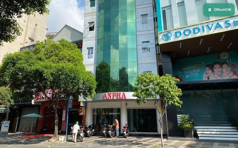 Anpha Building — ảnh 1