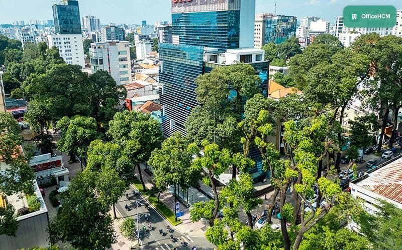 Endovina 146 Nguyễn Đình Chiểu
