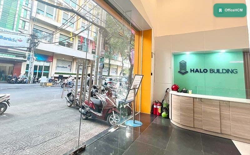 Halo Tôn Thất Đạm thumbnail 2