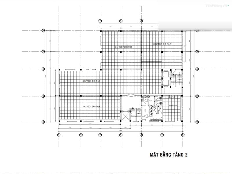 MORE 120 Kha Vạn Cân thumbnail 4