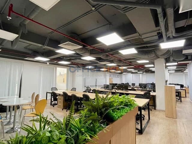 City House Nguyễn Đình Chiểu thumbnail 3