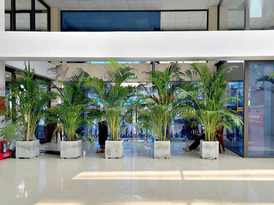 MHPC Bùi Hữu Nghĩa thumbnail 3