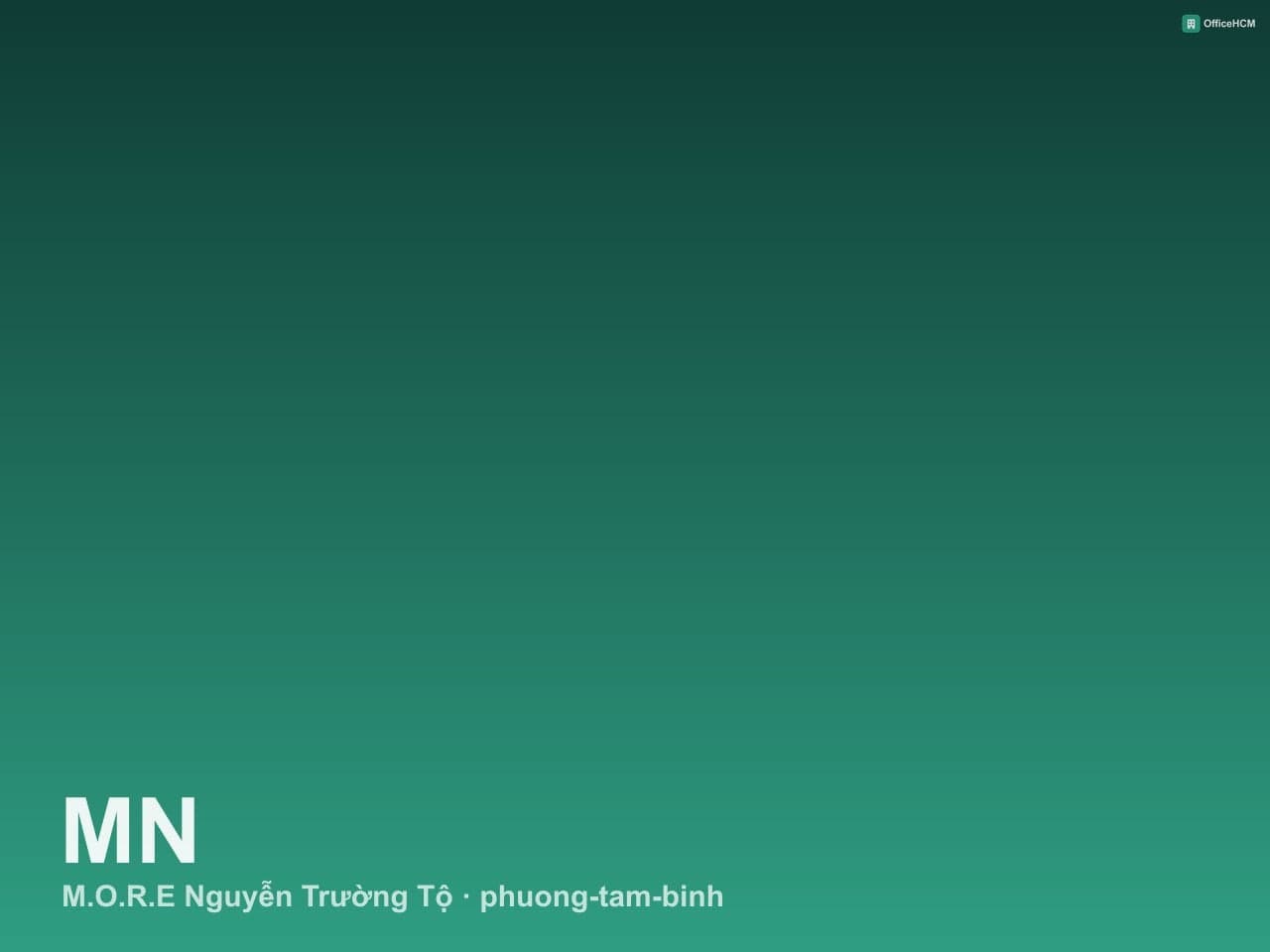 M.O.R.E Nguyễn Trường Tộ thumbnail 2