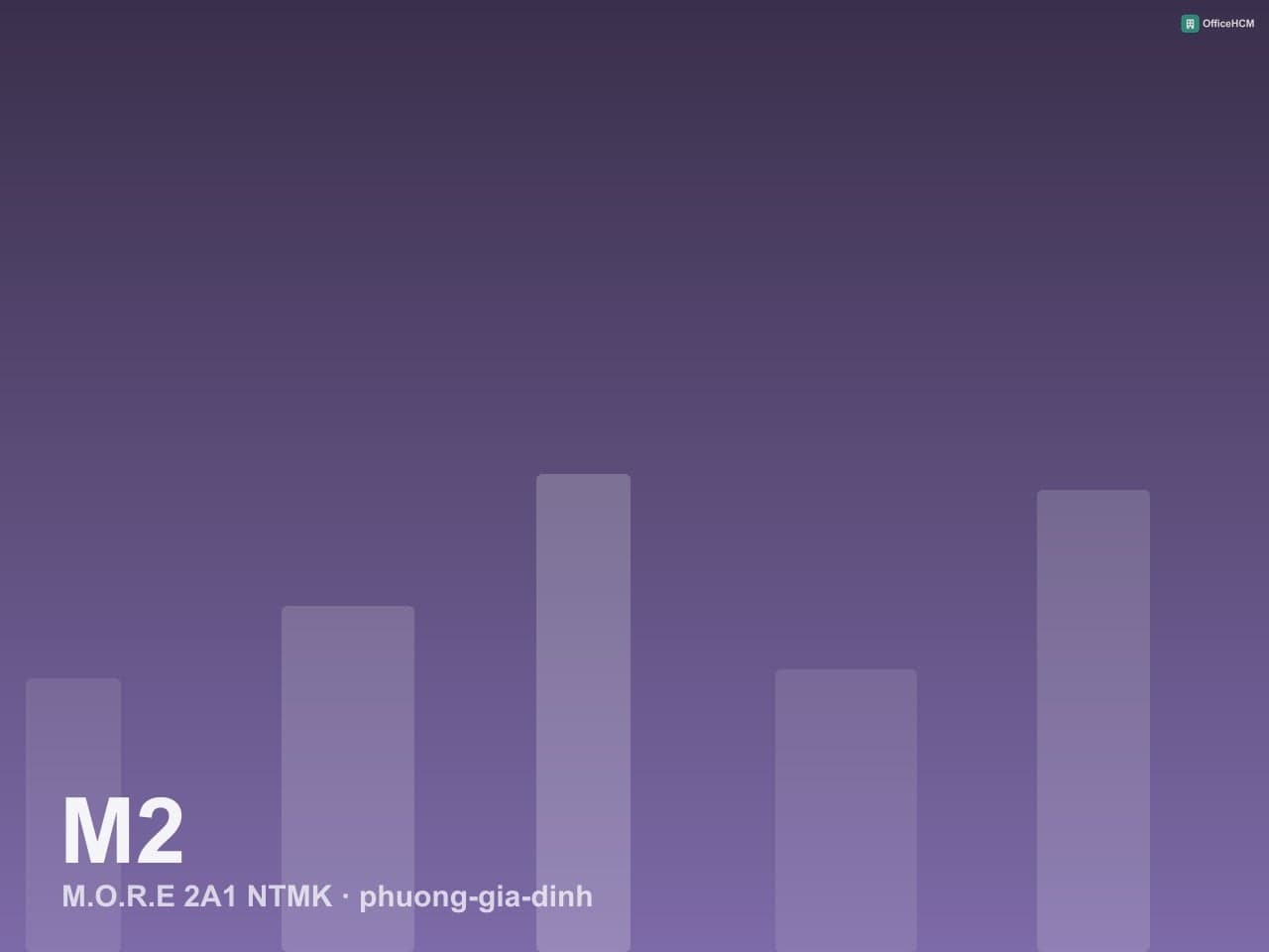 M.O.R.E 2A1 NTMK — ảnh 1