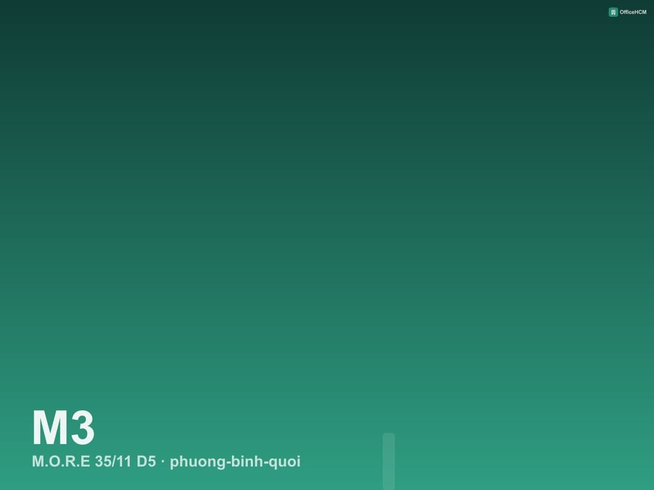 M.O.R.E 35/11 D5 — ảnh 1