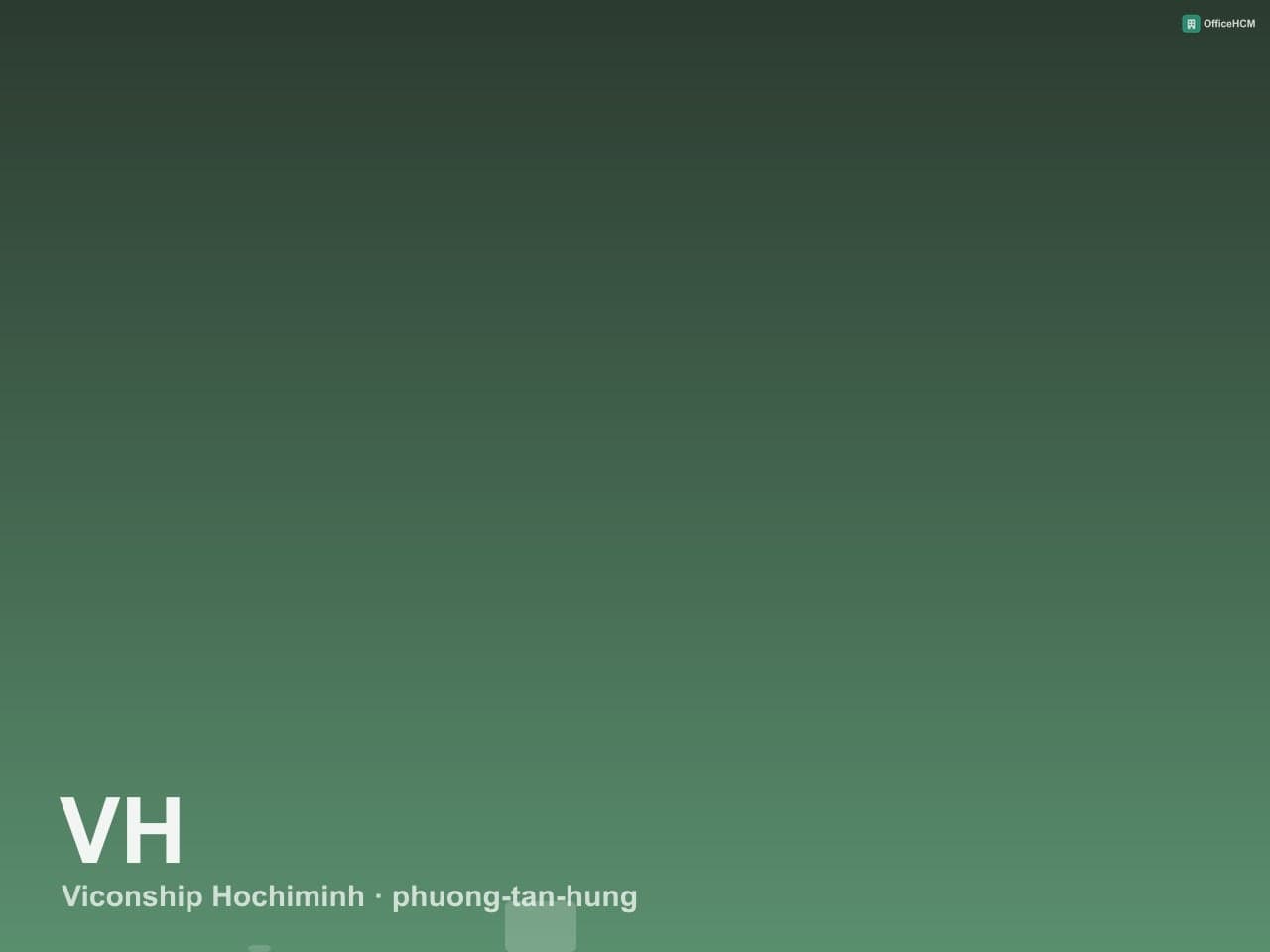 Viconship Hochiminh thumbnail 2
