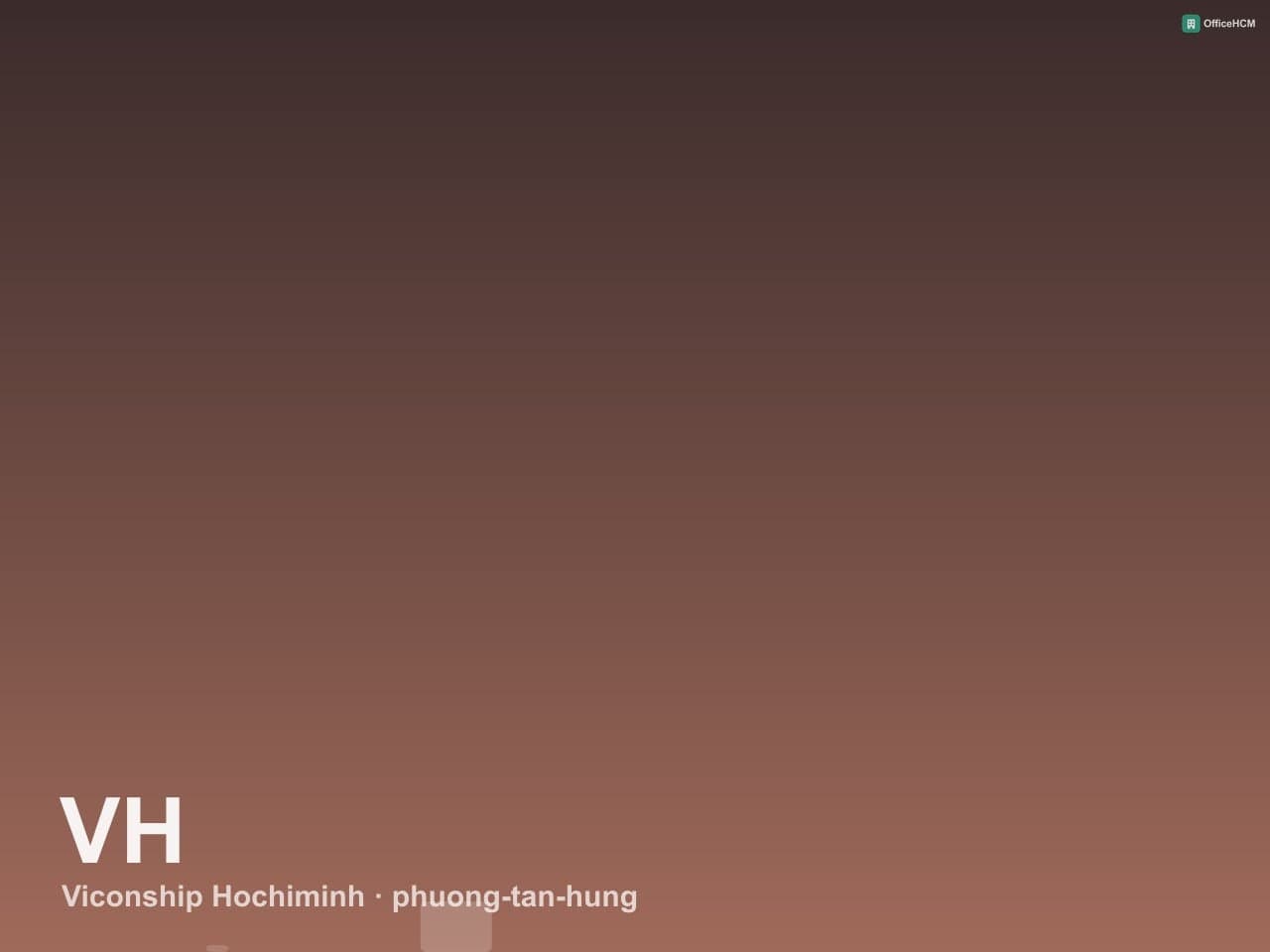 Viconship Hochiminh thumbnail 3
