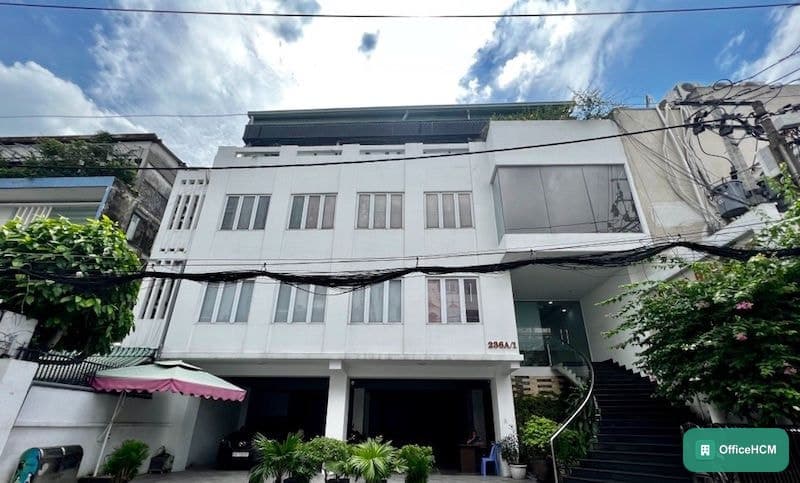 Trần Việt — ảnh 1