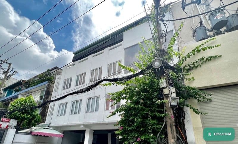Trần Việt thumbnail 2
